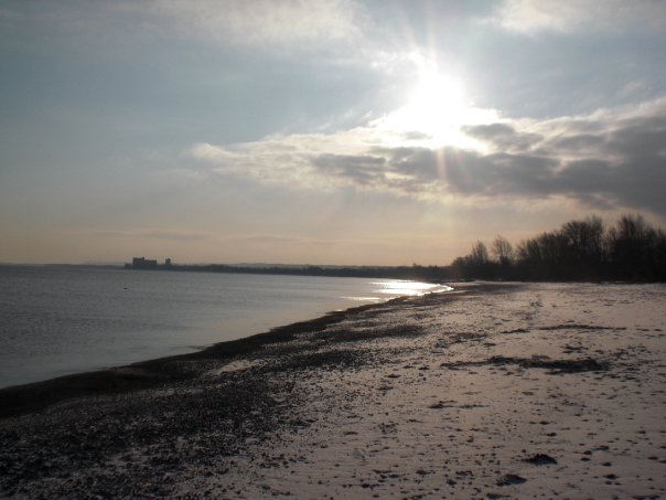 カナダのバレンタインデー