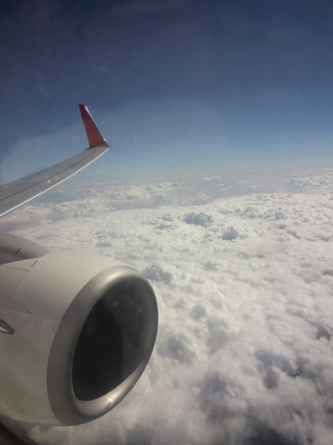 ワーホリのきっかけ@韓国