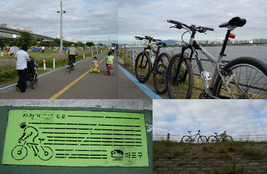 韓国で自転車に乗ろう!