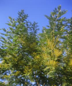 仕事探し、これは効果的!@フランス