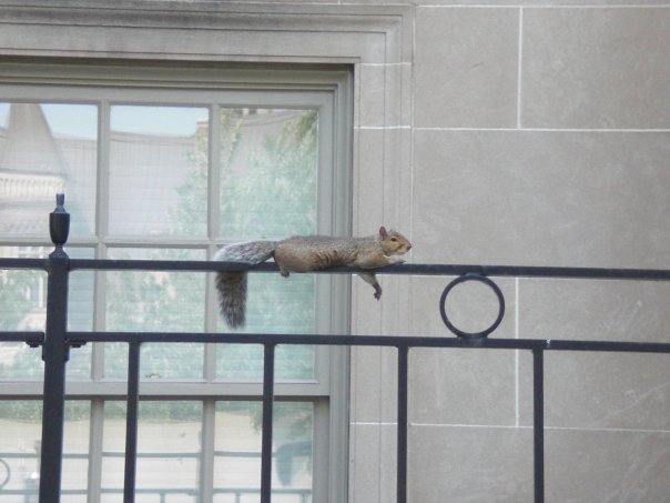 驚きの事件簿@トロント