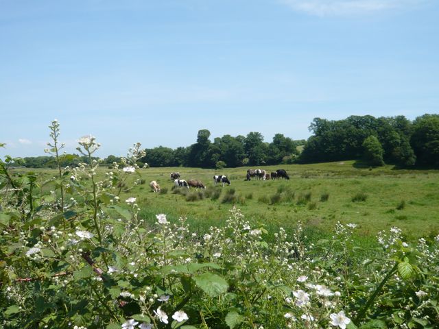 仕事探し、これは効果的!@イギリス