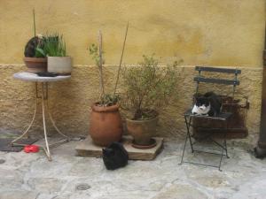 フランス人のモラル