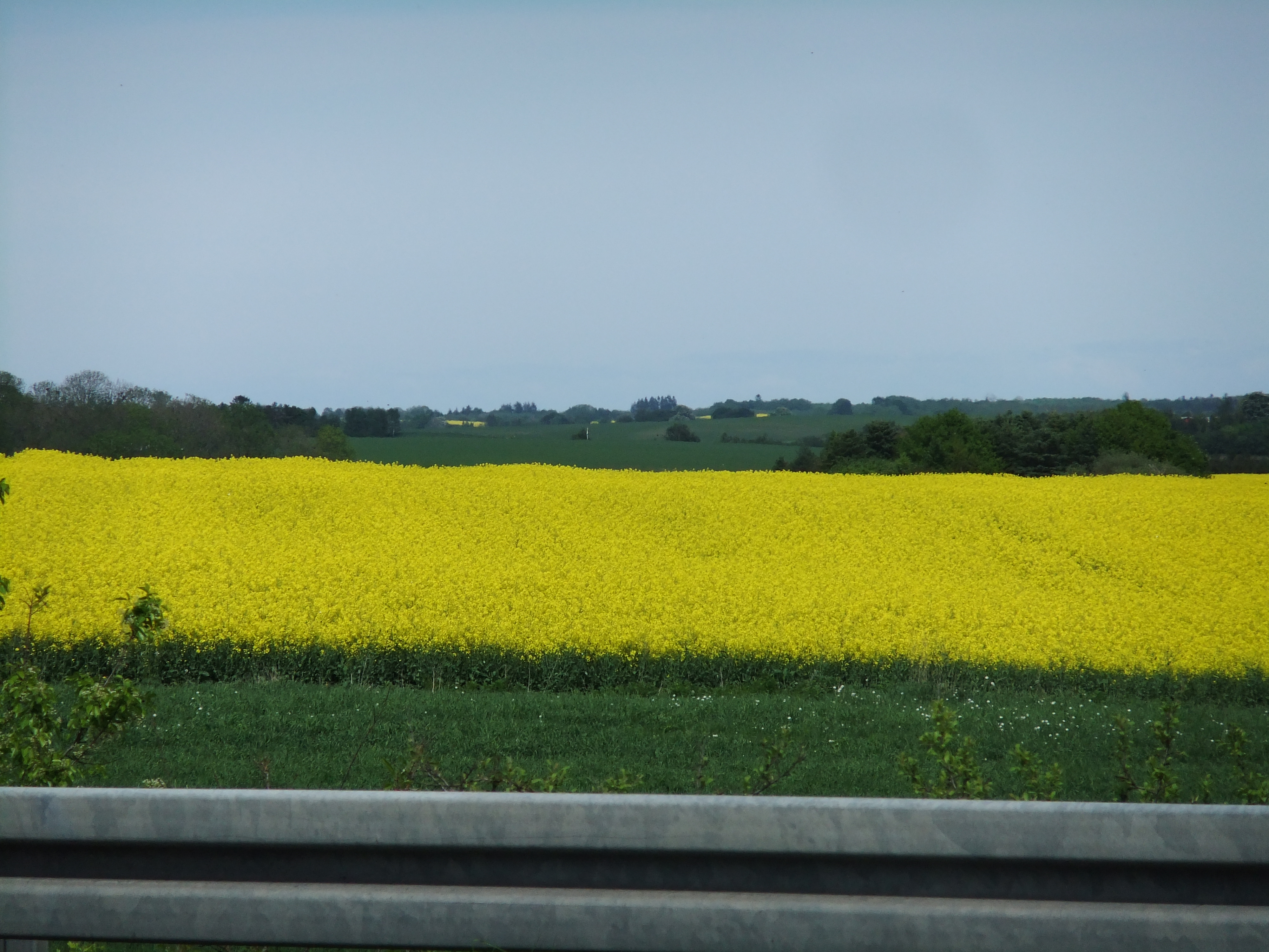 デンマークに住む