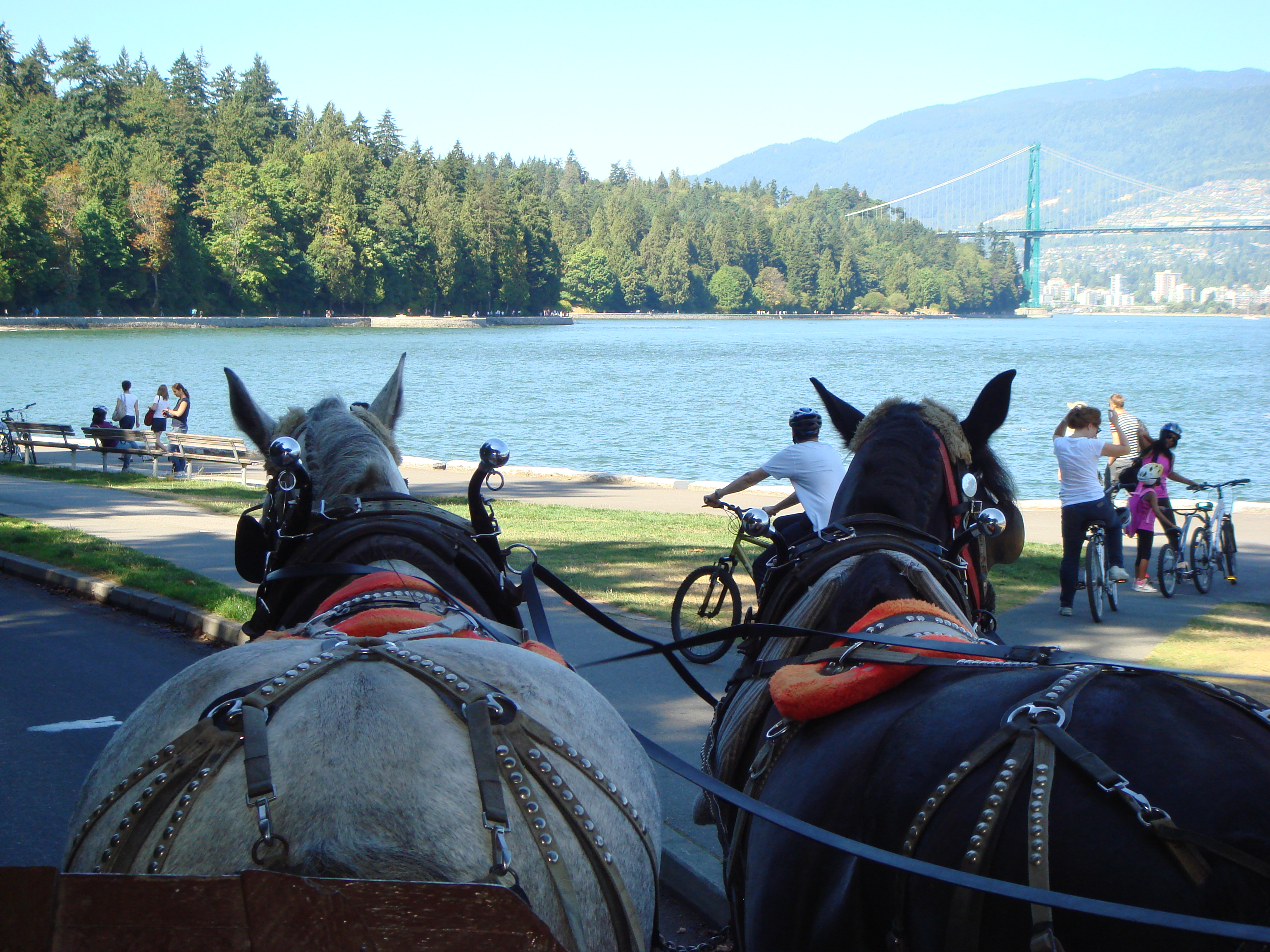 自炊のコツ@カナダ