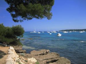 フランスのポップ・ミュージック界