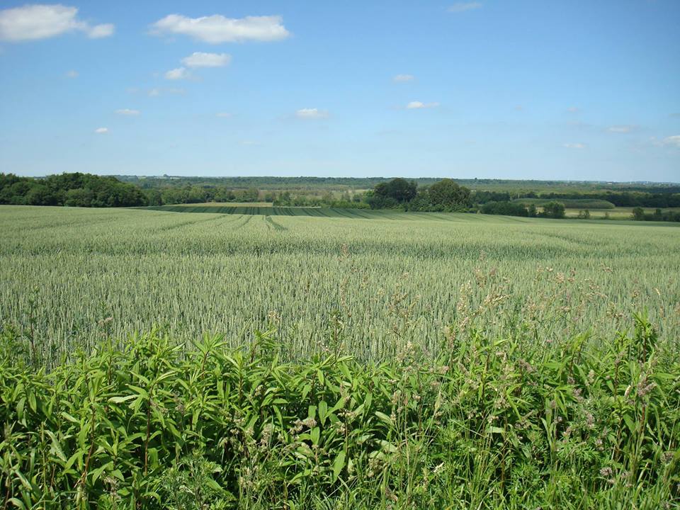 ご用心@デンマーク