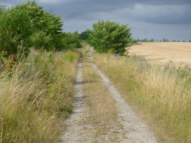 デンマーク、留学センター
