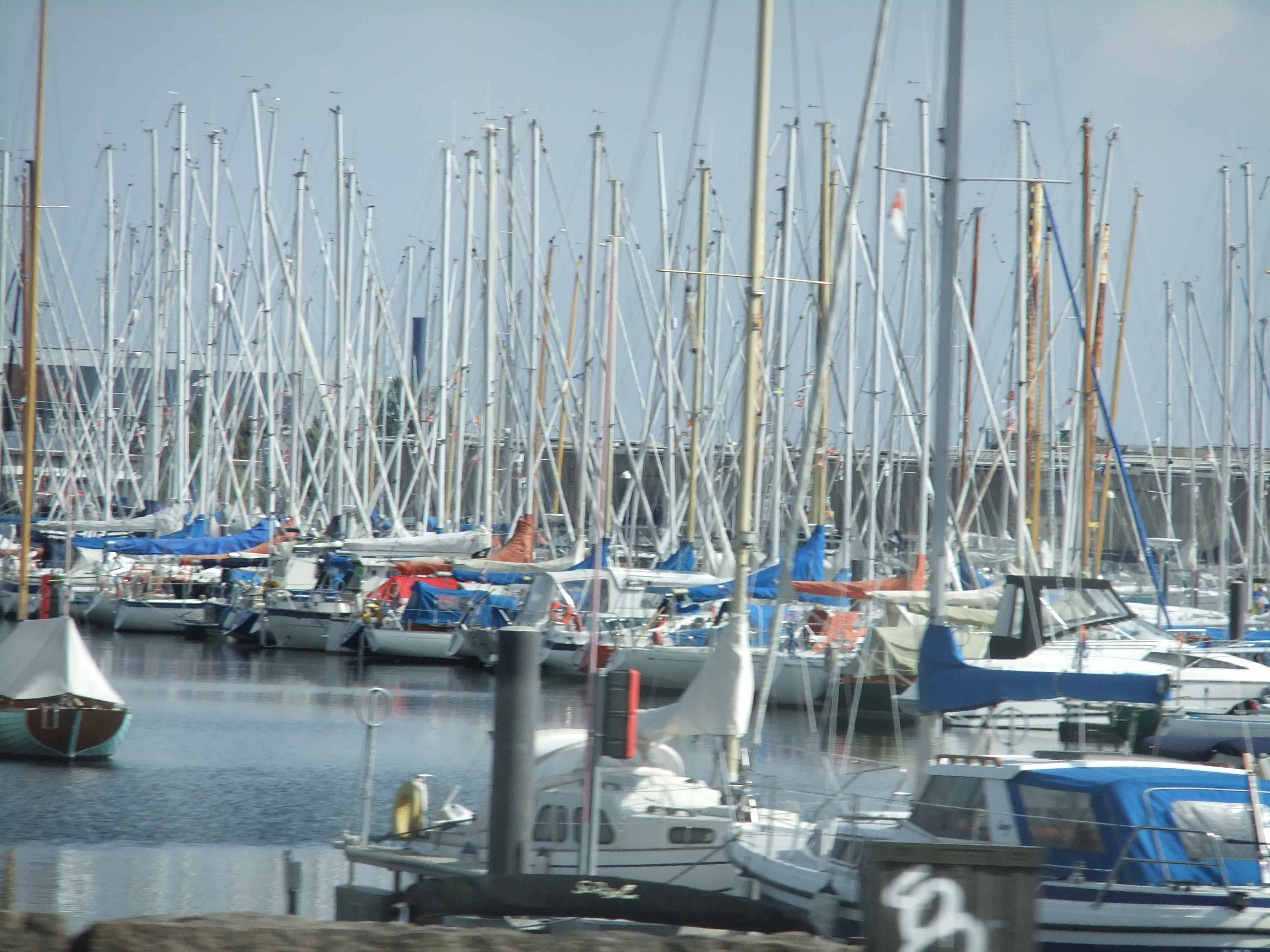 覚えておきたい! デンマーク語@ことわざ編