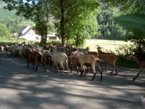 現地留学センター・サポートスタッフのいろいろ@フランス