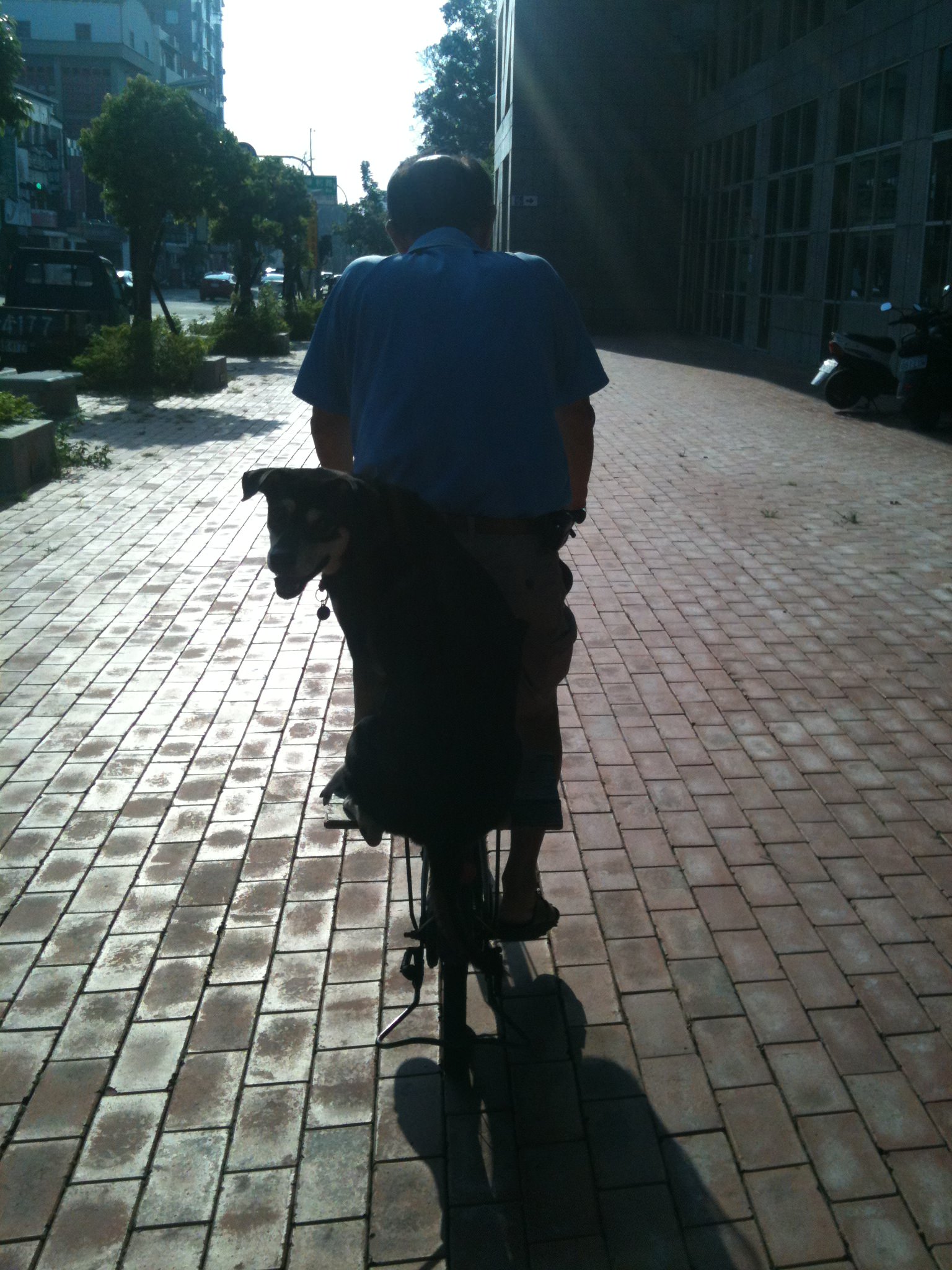 私のワーホリ生活を振り返って@台湾