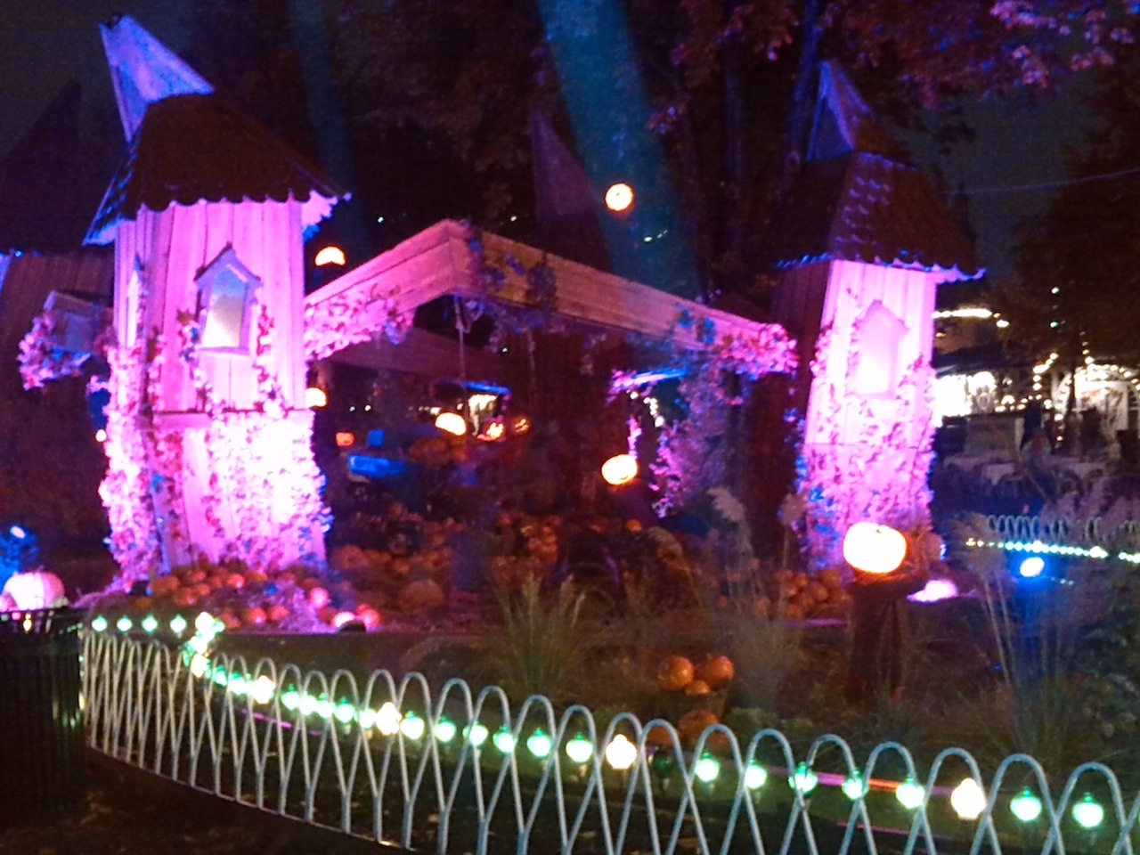 ジャガイモ休み@デンマーク