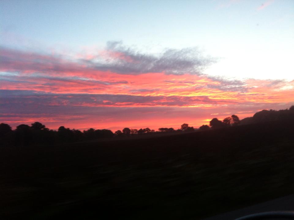 便利なサイト@デンマーク