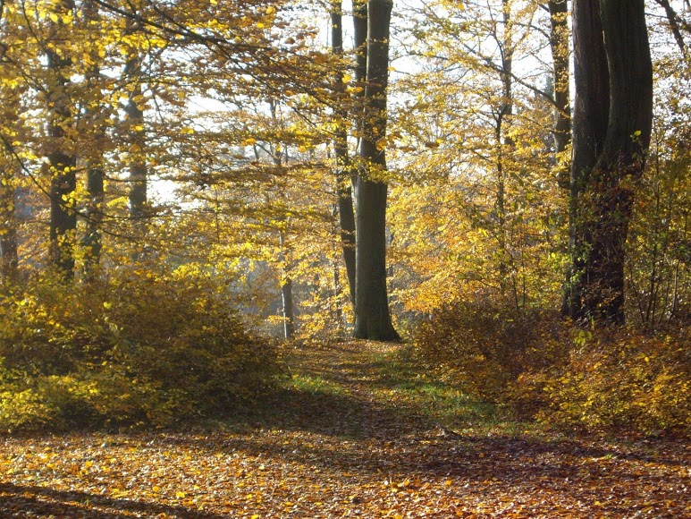 おすすめ散歩コース@コペンハーゲン