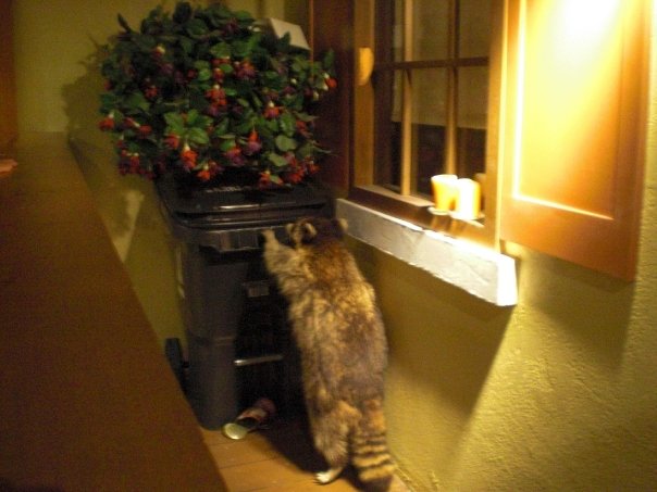 自然と戯れる@トロント