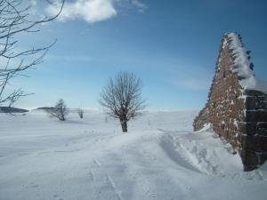 クレープの日@フランス