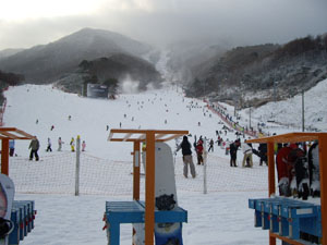 韓国でスキー