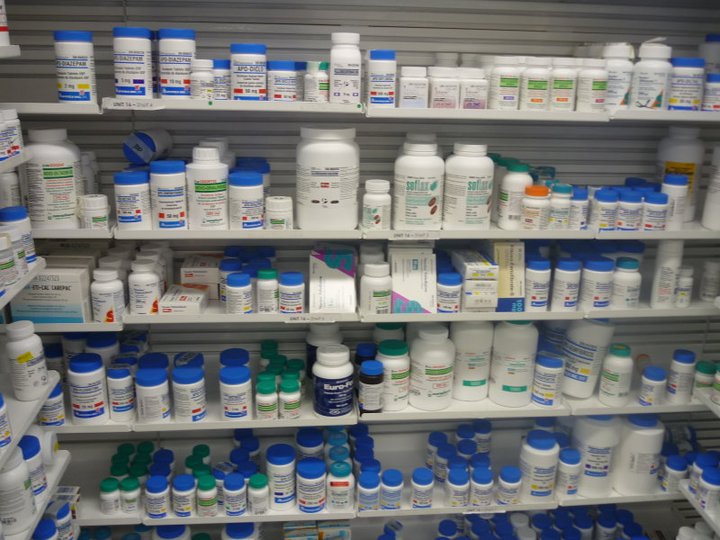 現地で活躍する日本人@トロント