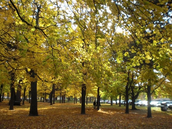 休日の過ごし方@トロント