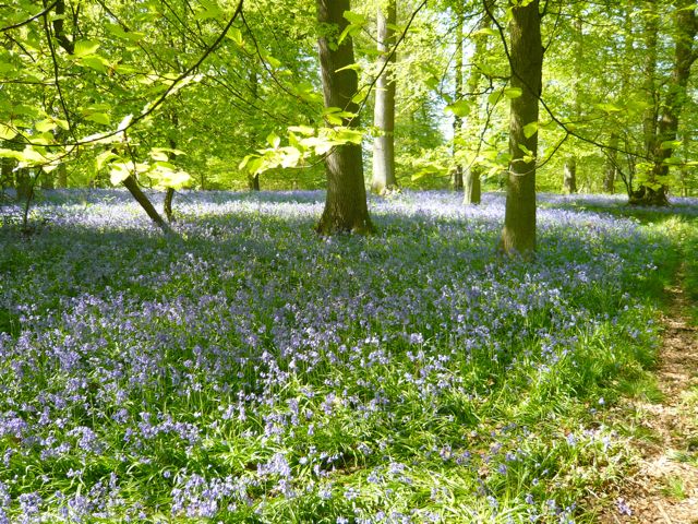 失敗した想い出@イギリス