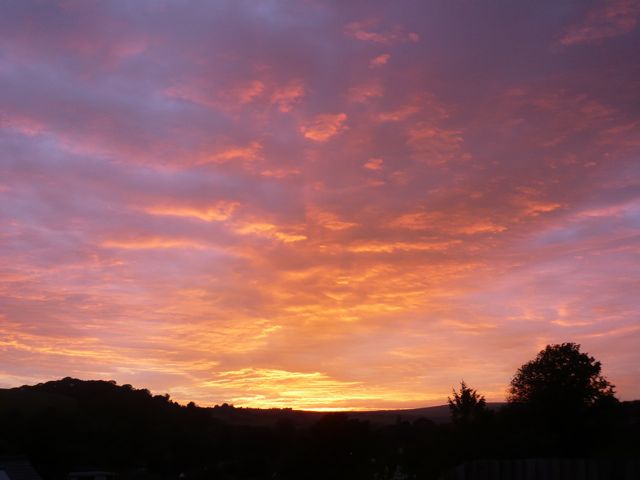 イギリスで活躍する日本人