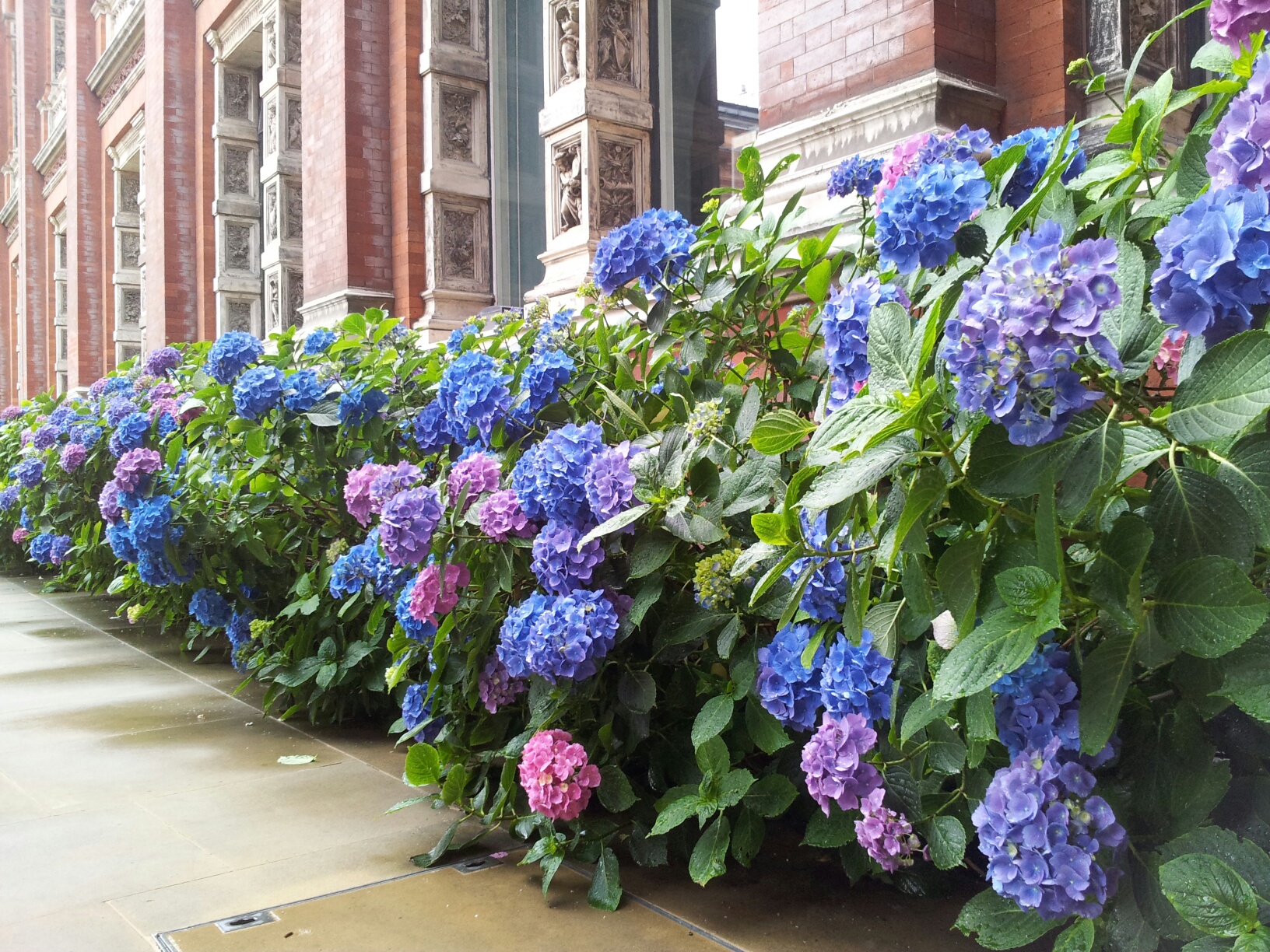 思いもよらない経験@イギリス