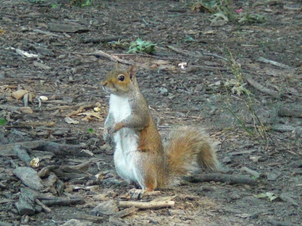 語学学校の選び方@トロント カナダ