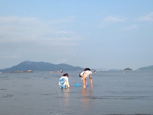 香港 夏の醍醐味 潮干狩り