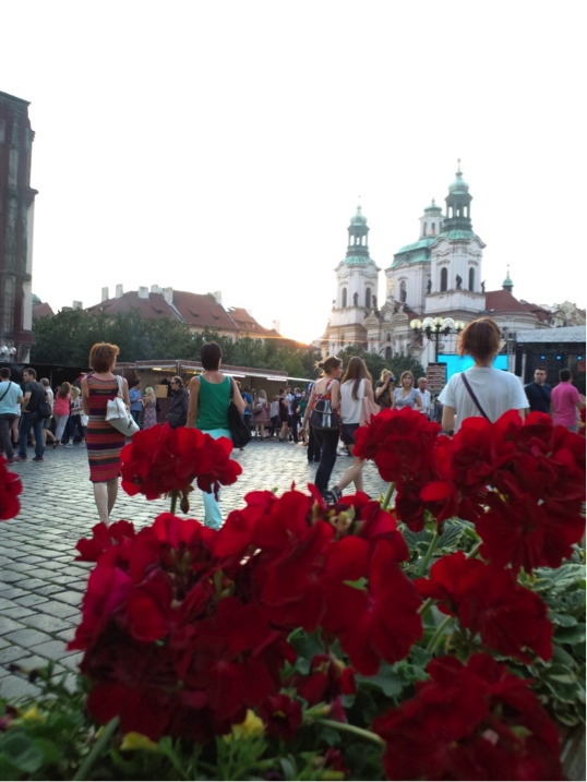 私のプチハッピー@アイルランド