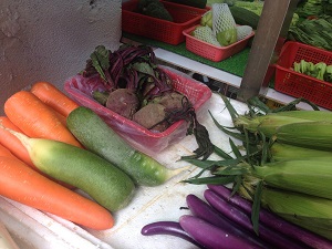 渡航して好きになったもの@香港