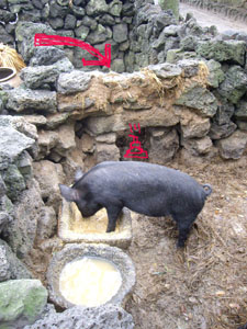 韓国の国内旅行