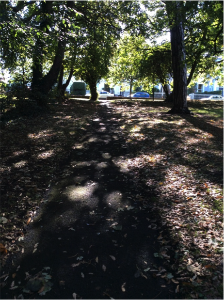 日本との繋がりかた@アイルランド