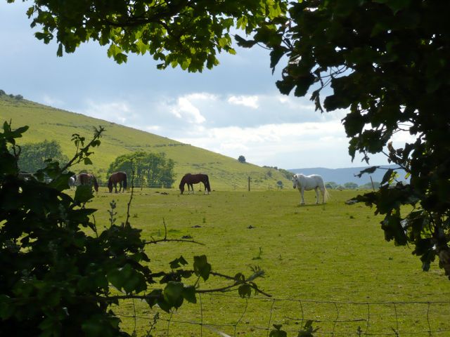 イギリスにいる間にやっておいてほしいこと