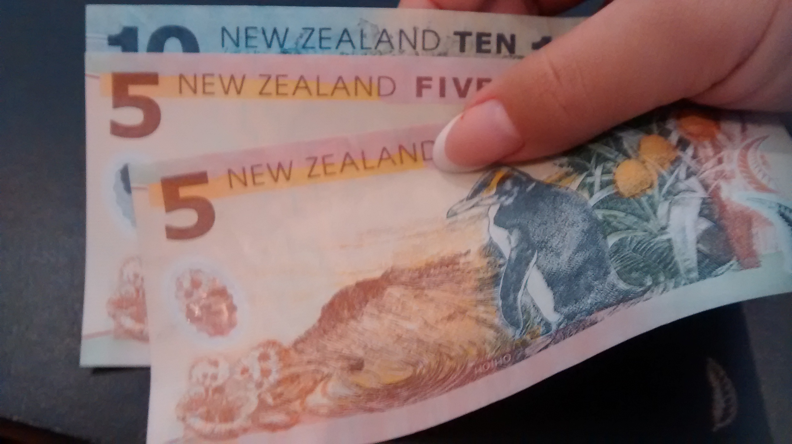 お金を洗ってしまっても大丈夫?!@NZ