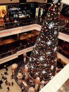 クリスマスより冬至@香港