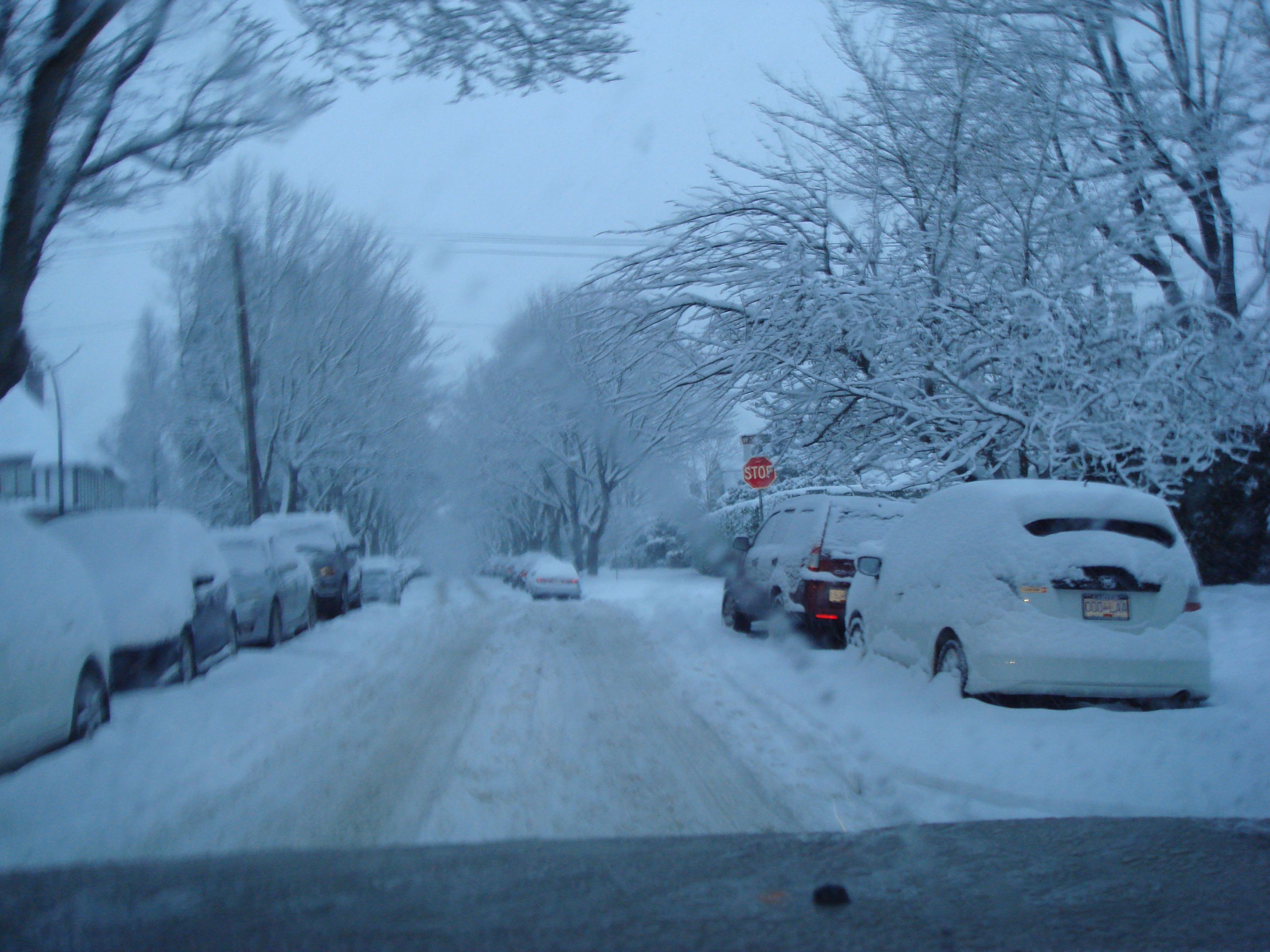 happy new year 2015!!! from canada