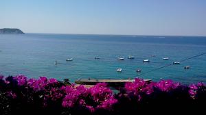 続編 :ワーホリ後はどうしてる?@フランス