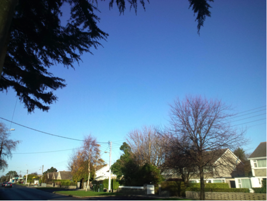 私のアイルランドワーホリ体験