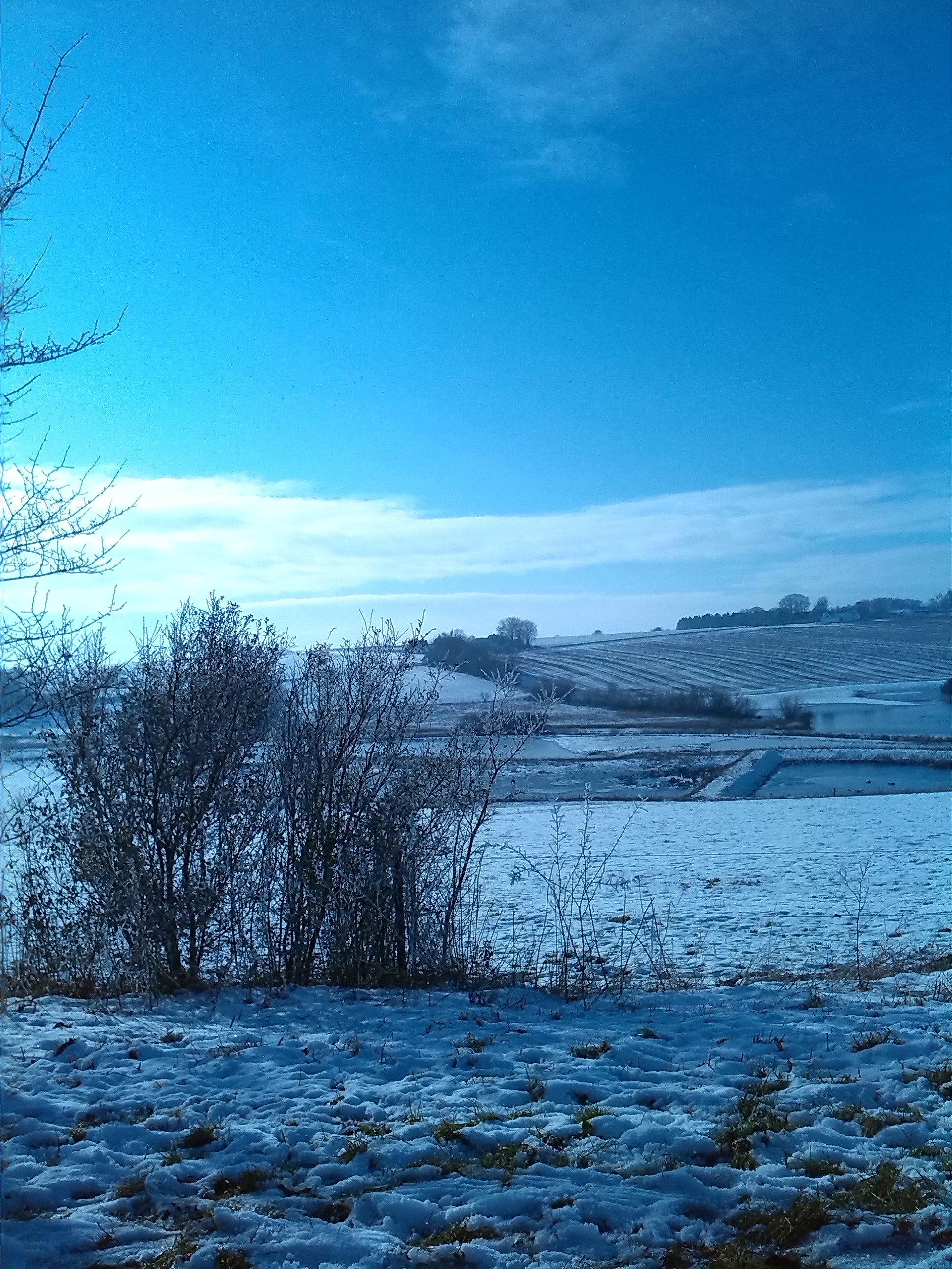 ワーホリその後@でんまーく