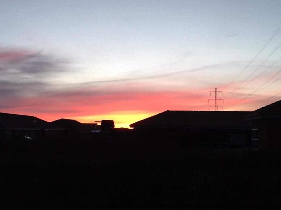 休日の過ごし方@でんまーく