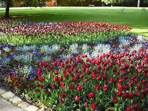 閉じこもらずに外へ出よう@ドイツ