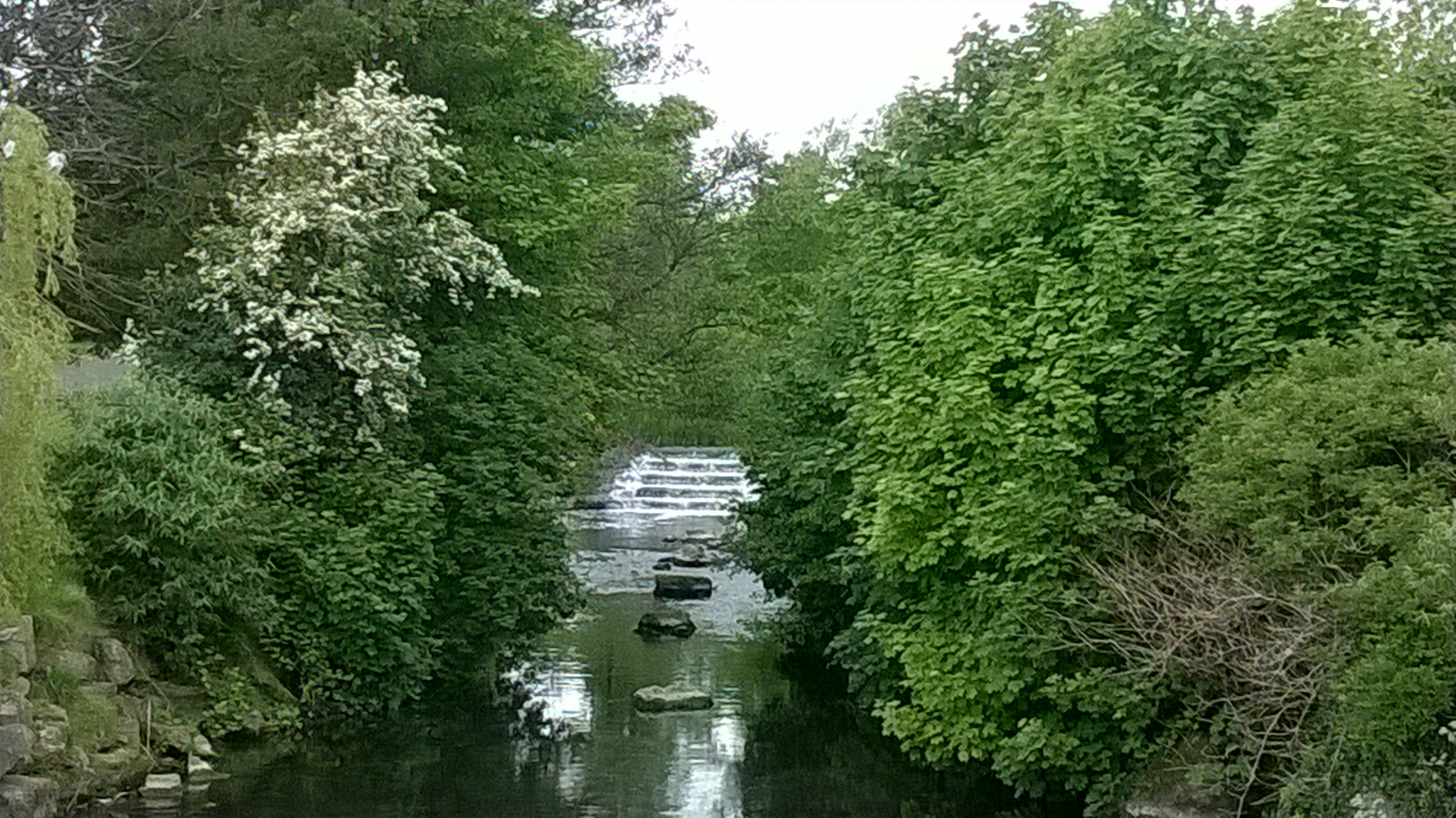 節電、エコについて、また知恵、アイルランドでの取り組み