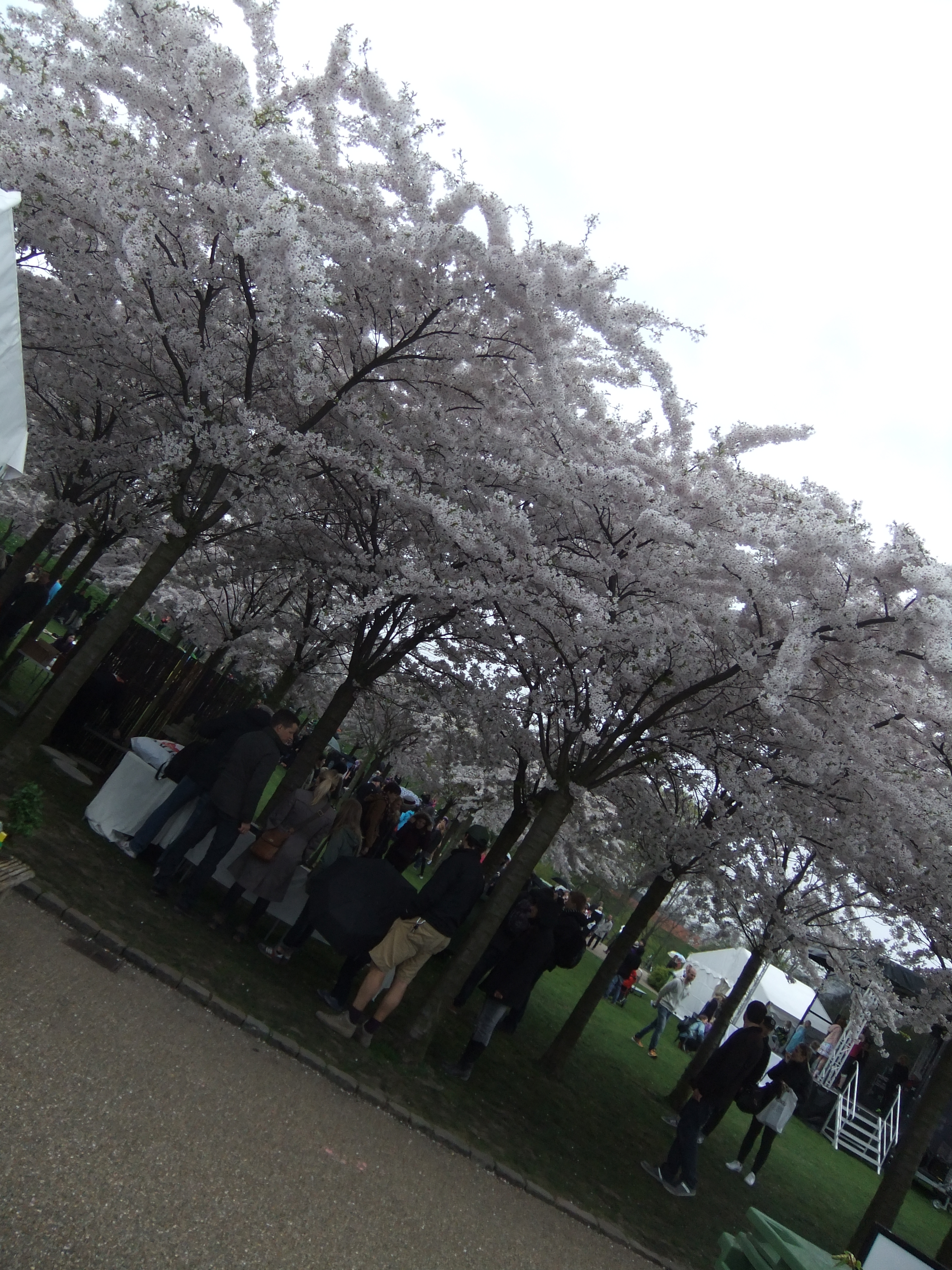 SNS@ でんまーく