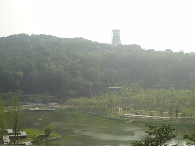 韓国ワーホリで気になること