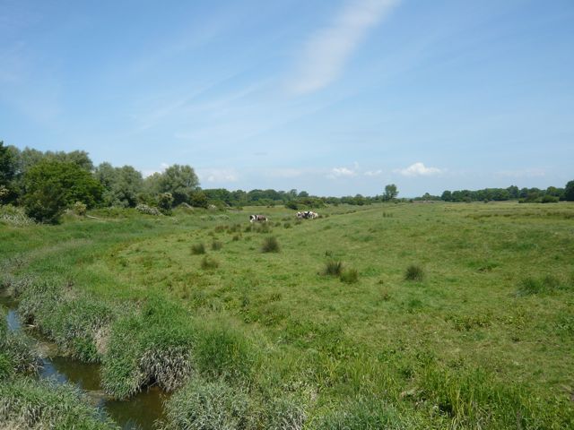 意外だったフレーズ@イギリス