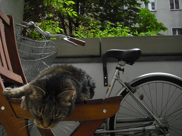 ドイツで困ることもろもろ@交通編