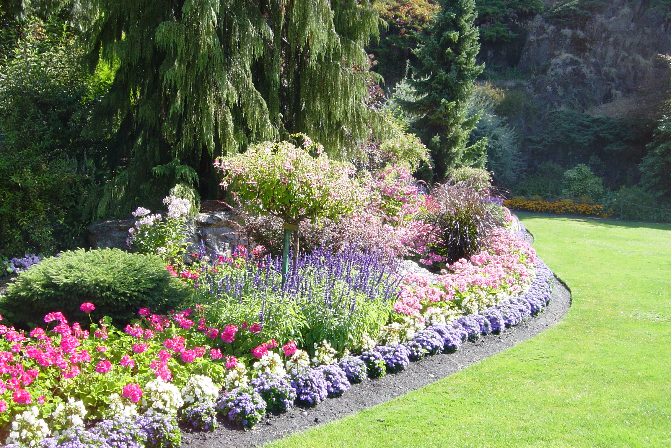 恋愛事情@バンクーバー、カナダ