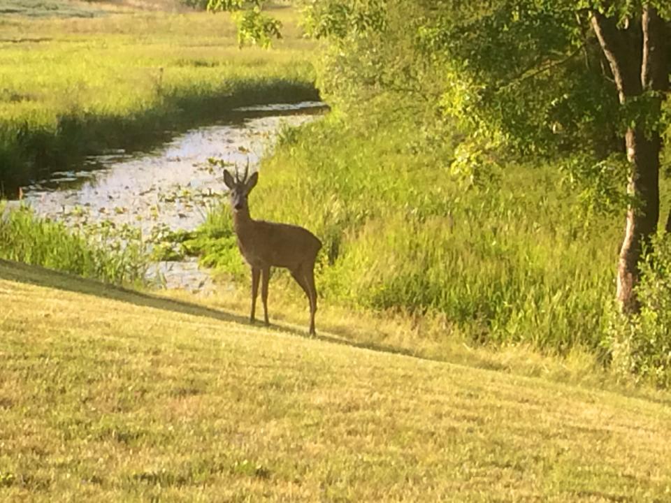 交通事情@デンマーク