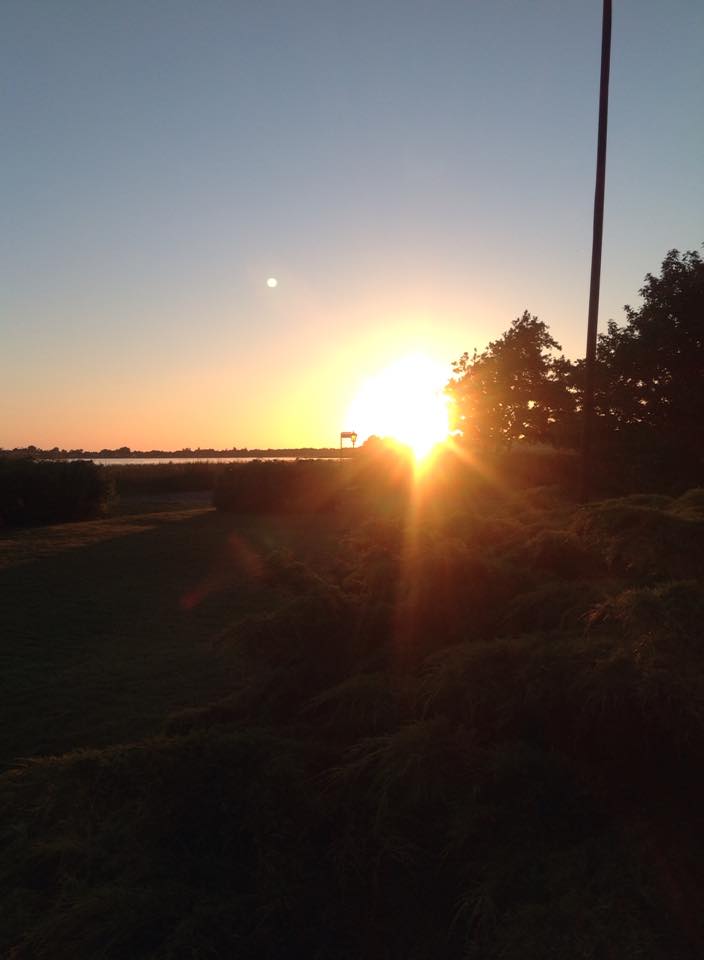 カルチャーショック@デンマーク