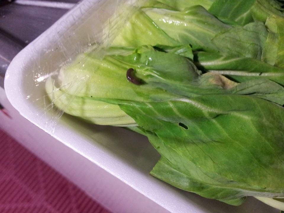 韓国カルチャーショック パート2